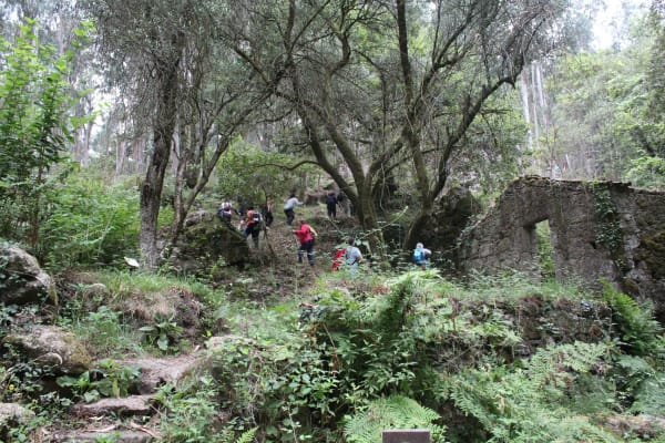 Foto 27 da atividade Galeria de Fotos