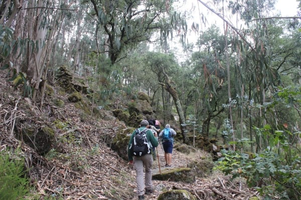 Foto 26 da atividade Galeria de Fotos