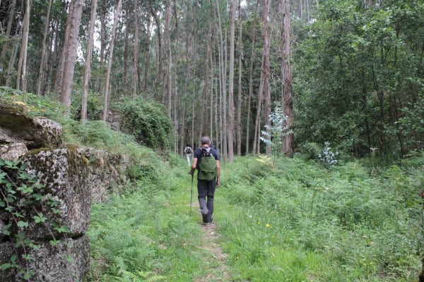 Foto 21 da atividade Galeria de Fotos