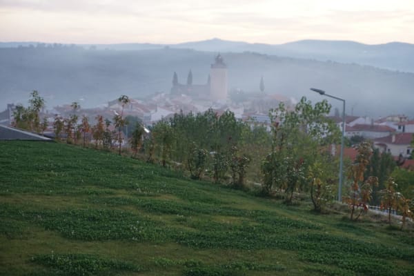 Foto 83 da atividade Galeria de Fotos