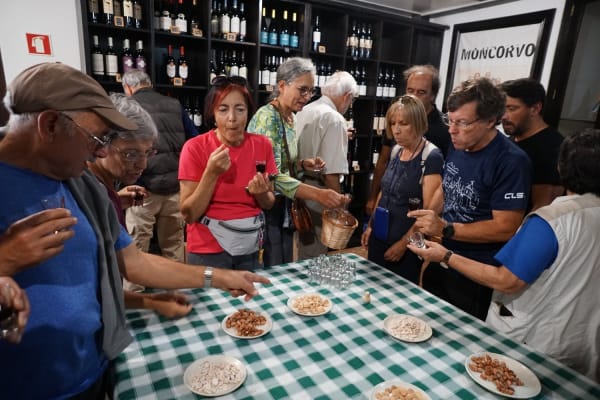 Foto 48 da atividade Galeria de Fotos