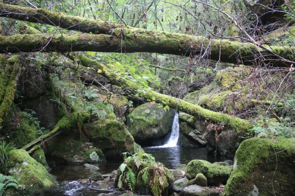 Foto 76 da atividade Galeria de Fotos