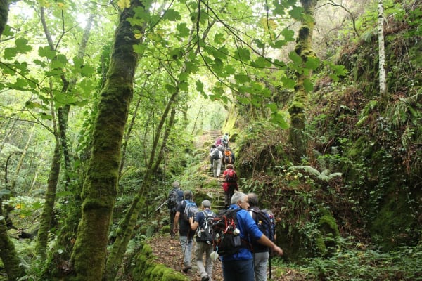 Foto 71 da atividade Galeria de Fotos