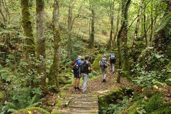 Foto 65 da atividade Galeria de Fotos