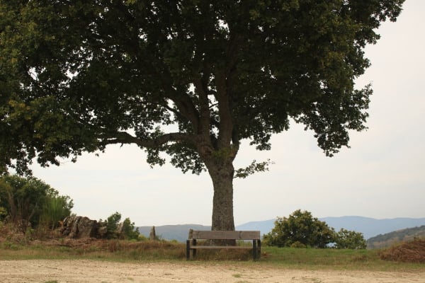 Foto 24 da atividade Galeria de Fotos