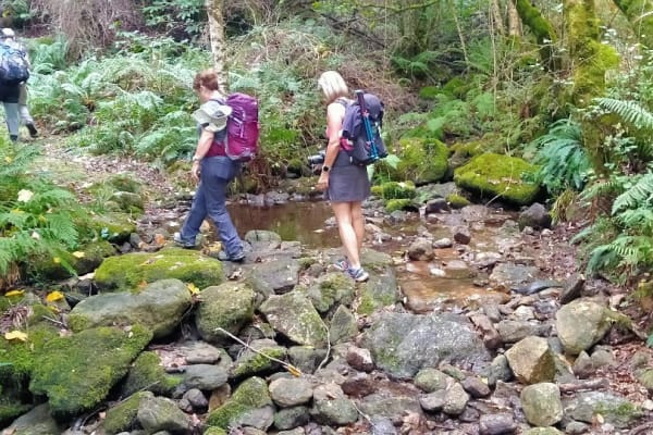 Foto 22 da atividade Galeria de Fotos