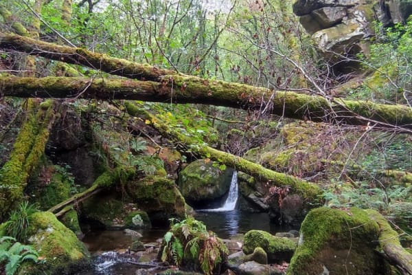 Foto 19 da atividade Galeria de Fotos