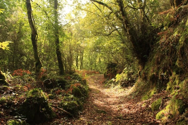 Foto 17 da atividade Galeria de Fotos