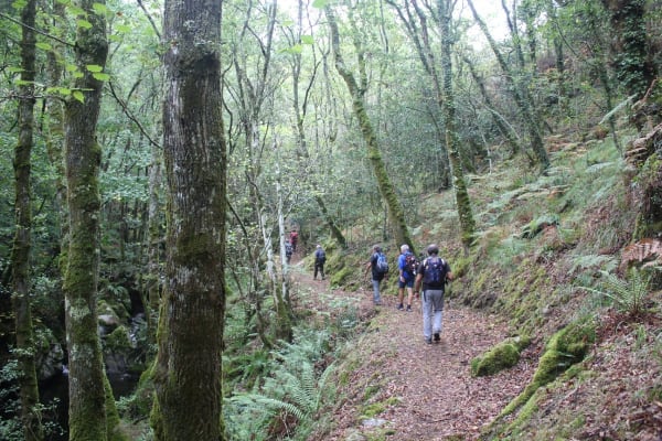 Foto 11 da atividade Galeria de Fotos