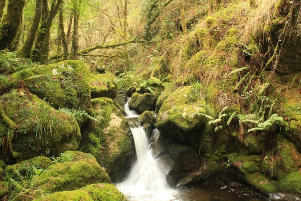 Foto 8 da atividade Galeria de Fotos