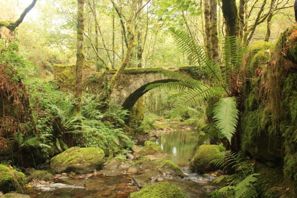 Foto 7 da atividade Galeria de Fotos