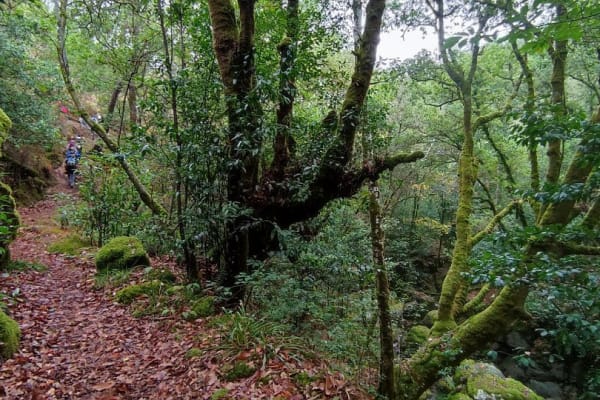 Foto 5 da atividade Galeria de Fotos