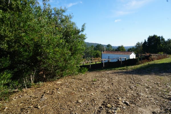 Foto 57 da atividade Galeria de Fotos