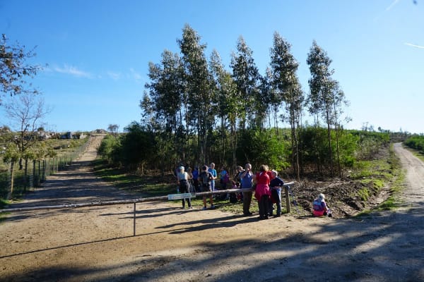 Foto 7 da atividade Galeria de Fotos