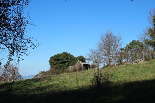 Foto 66 da atividade Galeria de Fotos