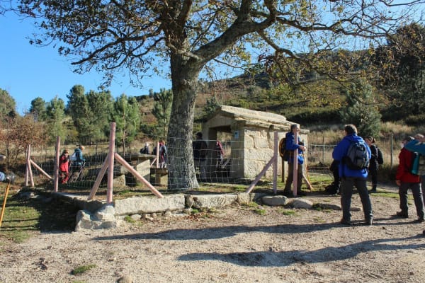 Foto 60 da atividade Galeria de Fotos