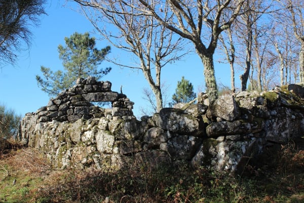 Foto 59 da atividade Galeria de Fotos