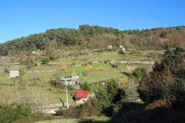 Foto 49 da atividade Galeria de Fotos