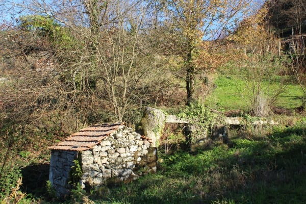 Foto 45 da atividade Galeria de Fotos