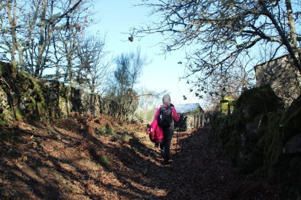 Foto 36 da atividade Galeria de Fotos