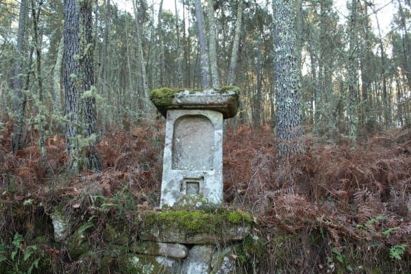 Foto 38 da atividade Galeria de Fotos