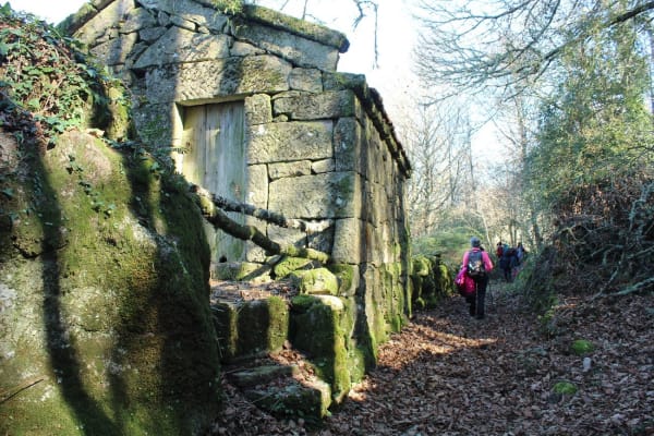 Foto 35 da atividade Galeria de Fotos