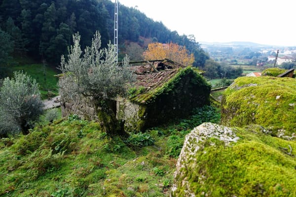 Foto 67 da atividade Galeria de Fotos