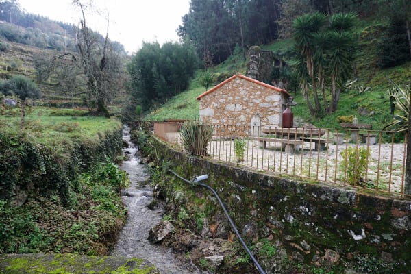 Foto 64 da atividade Galeria de Fotos