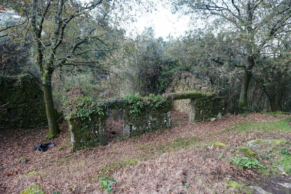 Foto 49 da atividade Galeria de Fotos