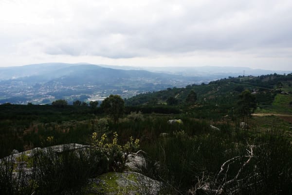 Foto 46 da atividade Galeria de Fotos