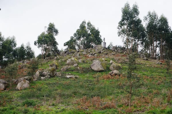 Foto 44 da atividade Galeria de Fotos