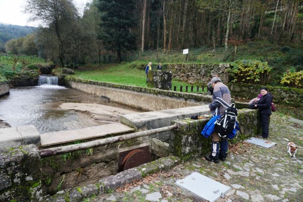 Foto 41 da atividade Galeria de Fotos