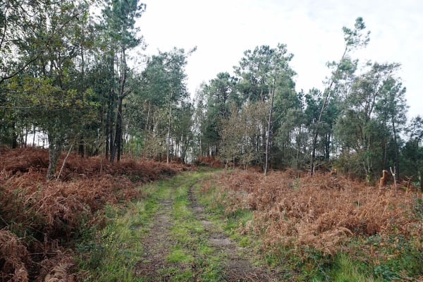 Foto 17 da atividade Galeria de Fotos