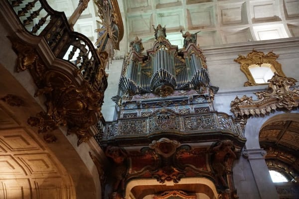 Foto 80 da atividade Galeria de Fotos