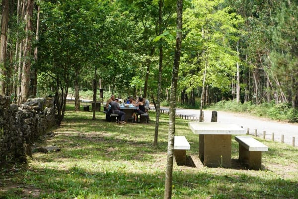 Foto 59 da atividade Galeria de Fotos