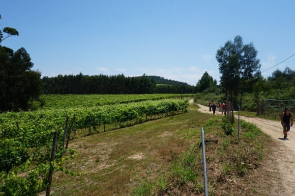 Foto 54 da atividade Galeria de Fotos