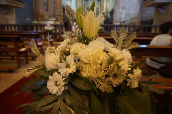 Foto 39 da atividade Galeria de Fotos