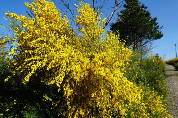 Foto 66 da atividade Galeria de Fotos