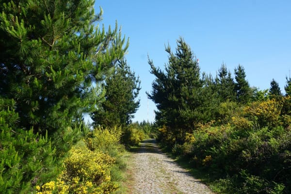 Foto 63 da atividade Galeria de Fotos