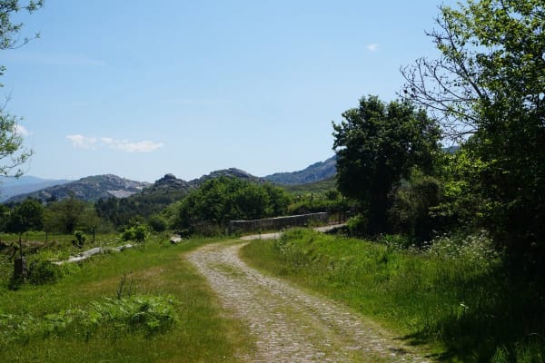 Foto 60 da atividade Galeria de Fotos