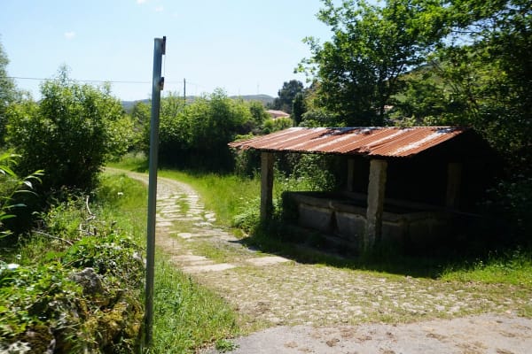 Foto 59 da atividade Galeria de Fotos