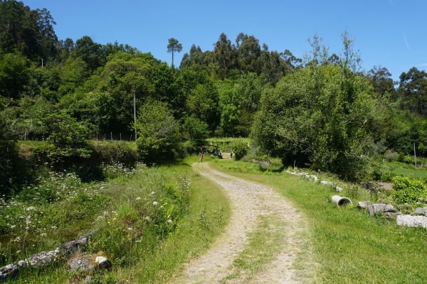 Foto 56 da atividade Galeria de Fotos