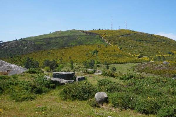 Foto 46 da atividade Galeria de Fotos