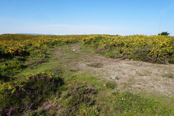 Foto 16 da atividade Galeria de Fotos