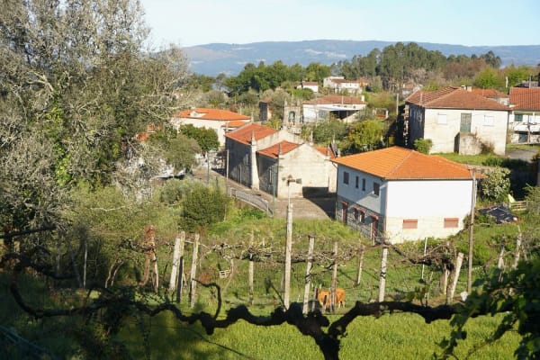 Foto 58 da atividade Galeria de Fotos