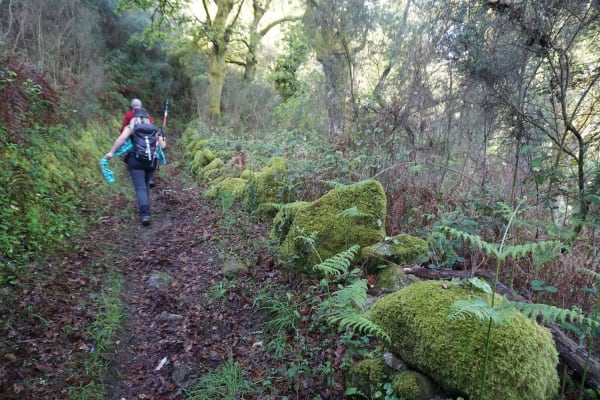 Foto 50 da atividade Galeria de Fotos