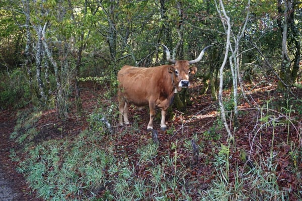 Foto 46 da atividade Galeria de Fotos