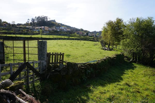 Foto 44 da atividade Galeria de Fotos