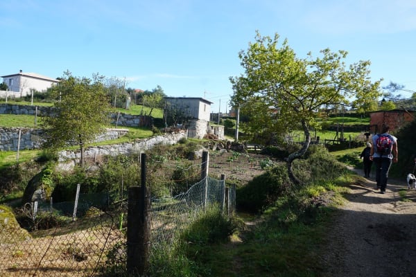 Foto 41 da atividade Galeria de Fotos