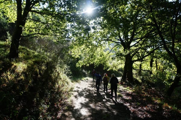 Foto 16 da atividade Galeria de Fotos